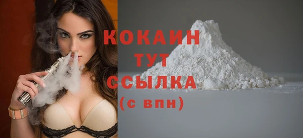 дживик Алзамай