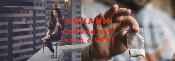 дживик Алзамай
