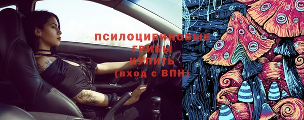 стаф Алексеевка