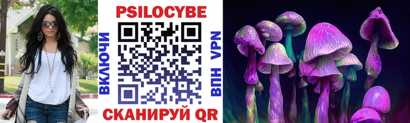 omg ССЫЛКА  Покров  Галлюциногенные грибы GOLDEN TEACHER 